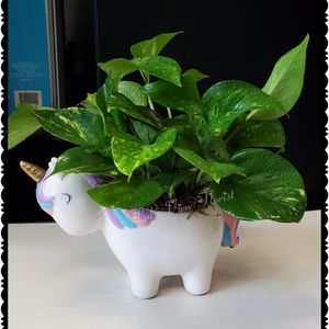 Teleflora Charmed Unicorn Keepsake